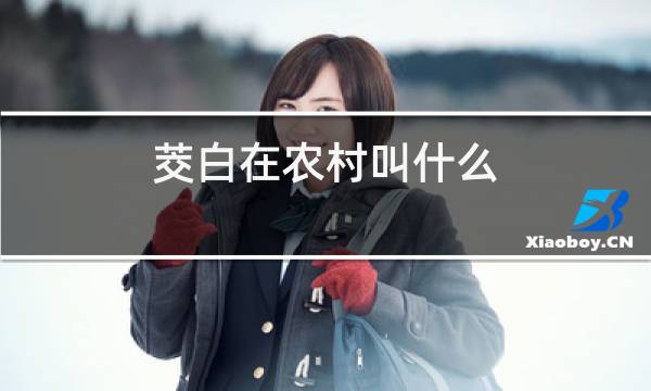 http://pic5.5d.ink/yeye/jbzncjsl.jpg