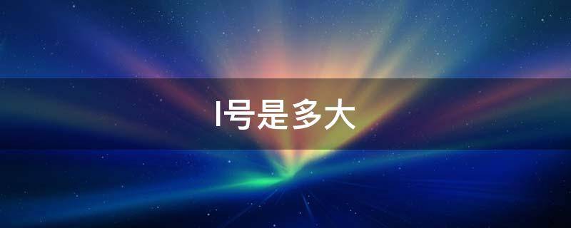 l号是多大