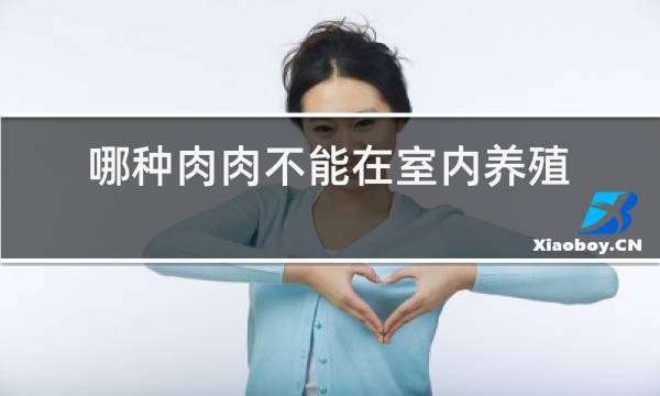 哪种肉肉不能在室内养殖