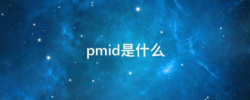 pmid是什么