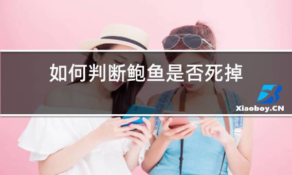 如何判断鲍鱼是否死掉