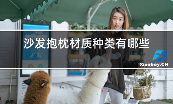 沙发抱枕材质种类有哪些