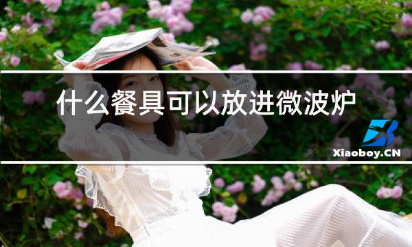 什么餐具可以放进微波炉