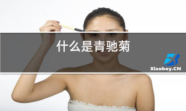 http://pic5.5d.ink/yeye/slsrcj.jpg