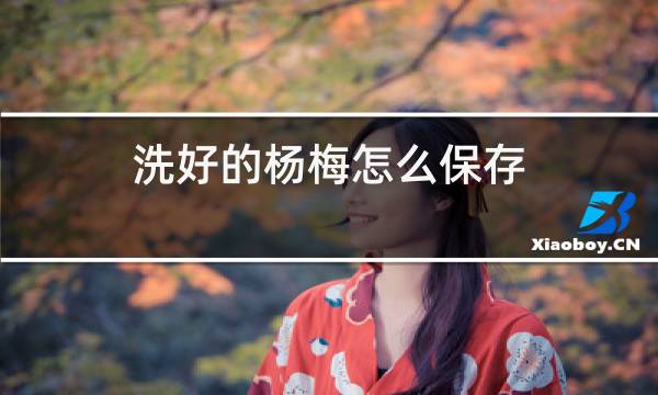 洗好的杨梅怎么保存