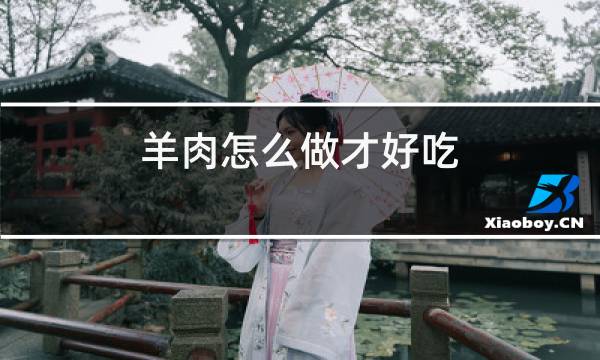 羊肉怎么做才好吃
