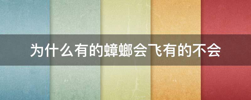 为什么有的蟑螂会飞有的不会?