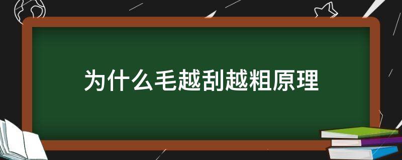 为什么毛越刮越粗原理