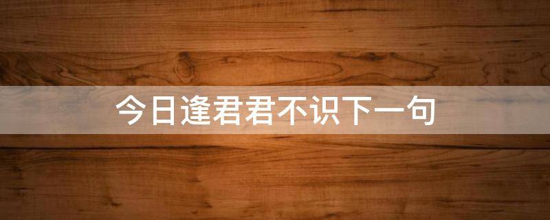 今日逢君君不识下一句