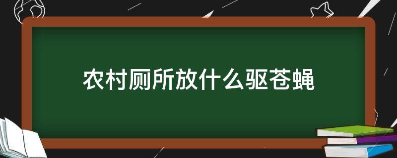 农村厕所放什么驱苍蝇