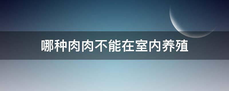 哪种肉肉不能在室内养殖