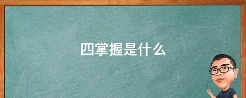 四掌握是什么