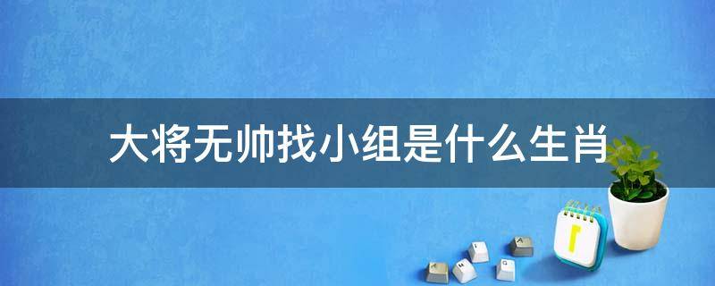 大将无帅找小组是什么生肖