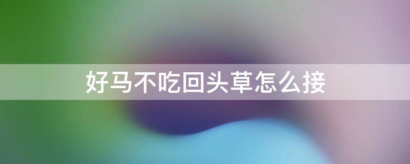 好马不吃回头草怎么接