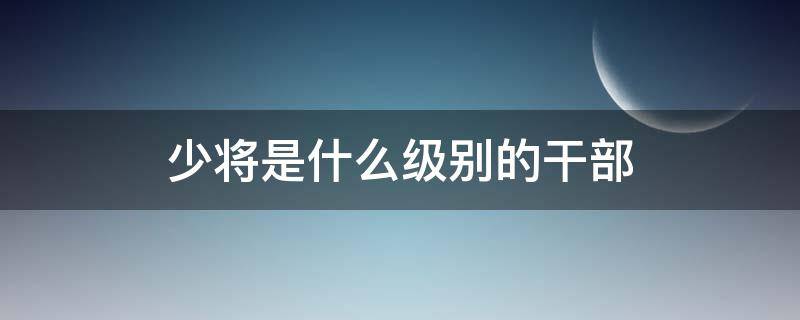 少将是什么级别的干部