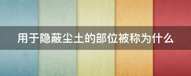 用于隐蔽尘土的部位被称为什么