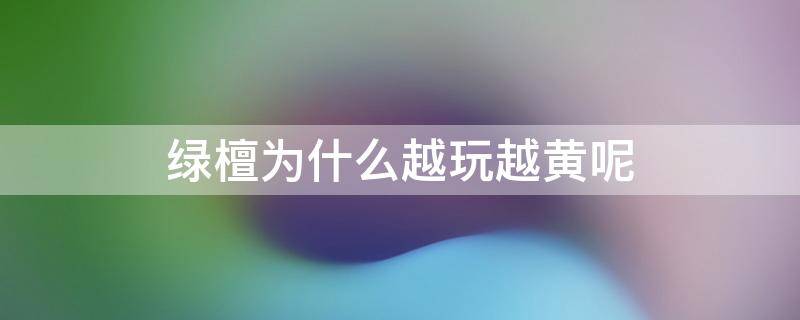 绿檀为什么越玩越黄呢