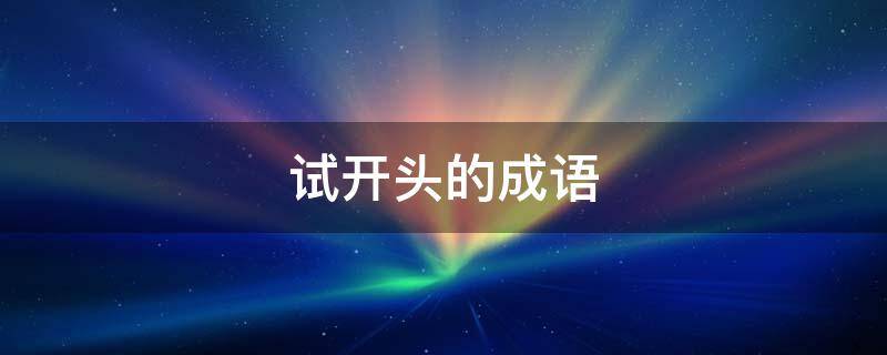 试开头的成语