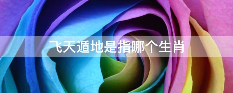 飞天遁地是指哪个生肖