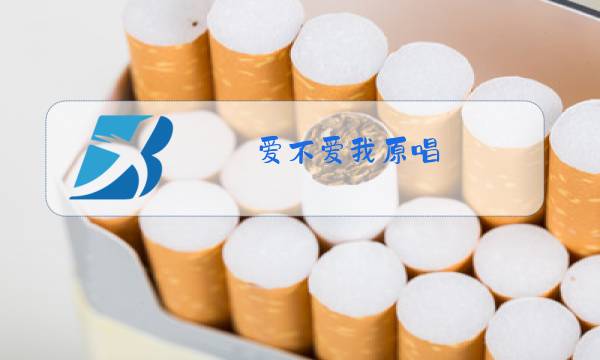 爱不爱我原唱图片