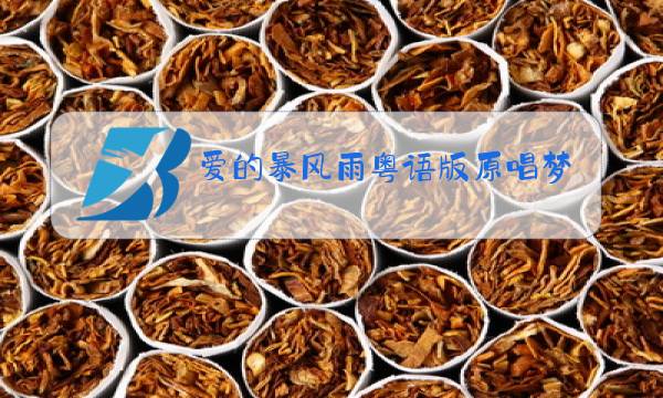 爱的暴风雨粤语版原唱梦涵图片
