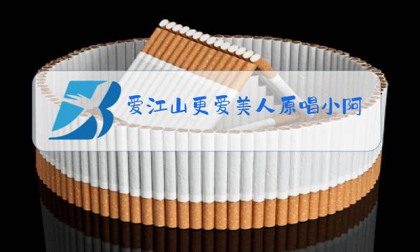 爱江山更爱美人原唱小阿枫你怎么看图片
