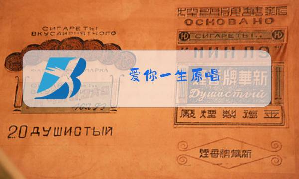 爱你一生原唱图片
