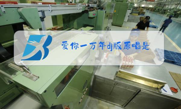 爱你一万年dj版原唱是谁图片