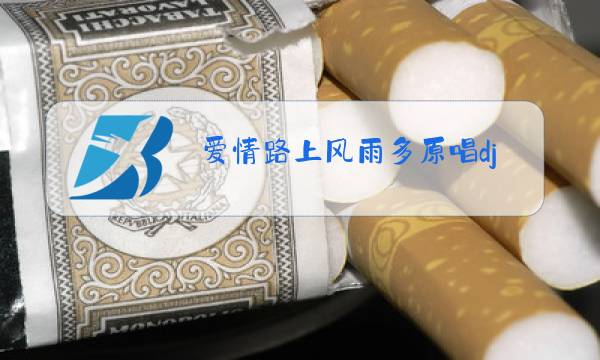 爱情路上风雨多原唱dj图片