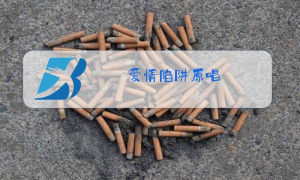 爱情陷阱原唱图片