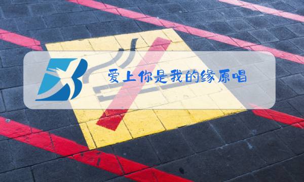 爱上你是我的缘原唱图片