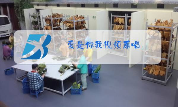 爱是你我视频原唱图片