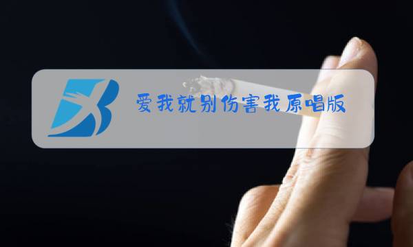 爱我就别伤害我原唱版图片