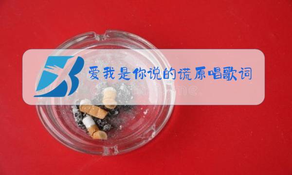 爱我是你说的谎原唱歌词图片