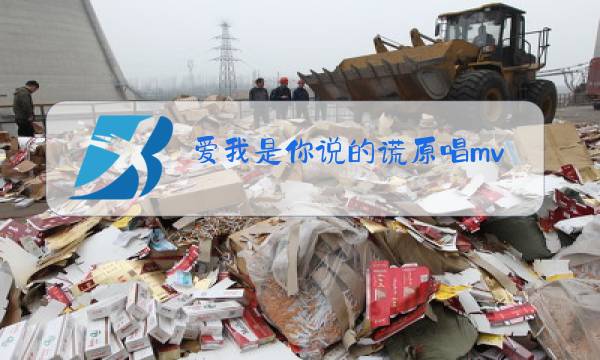 爱我是你说的谎原唱mv图片