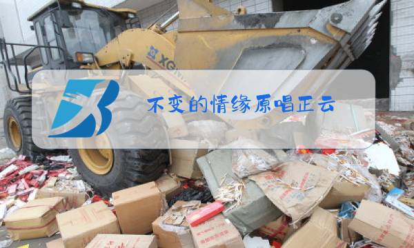 不变的情缘原唱正云图片