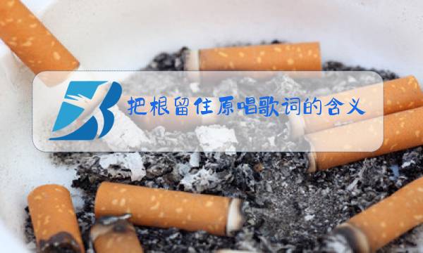 把根留住原唱歌词的含义图片