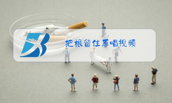 把根留住原唱视频图片