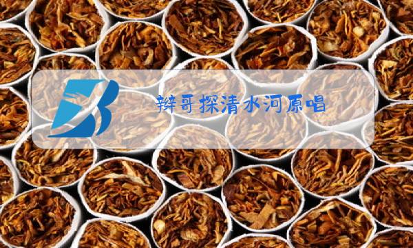 辫哥探清水河原唱图片