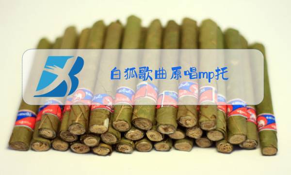 白狐歌曲原唱mp托图片
