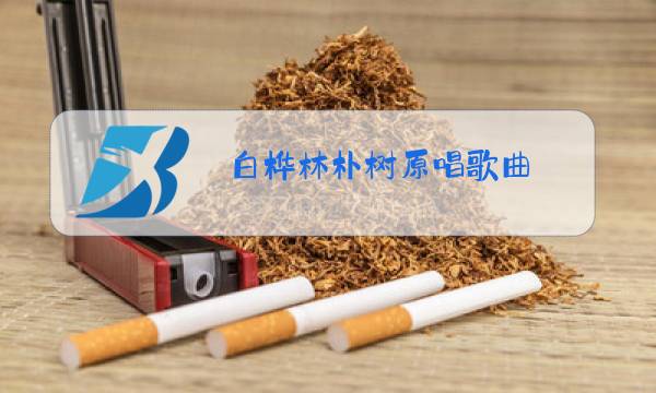 白桦林朴树原唱歌曲图片