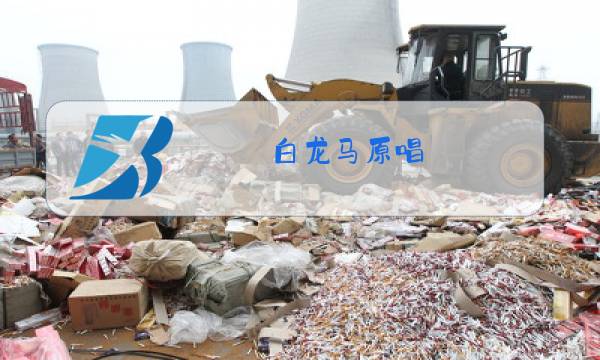 白龙马原唱图片