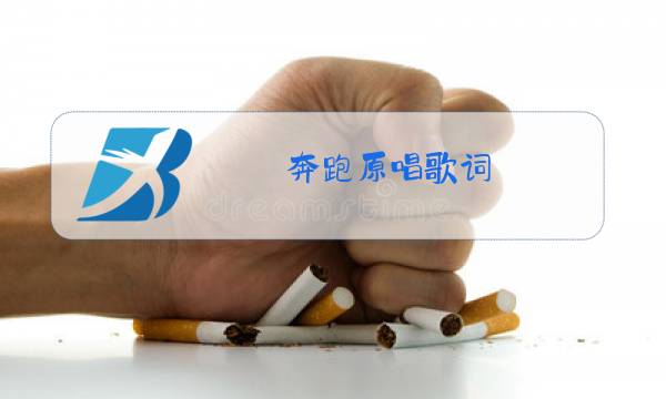奔跑原唱歌词图片