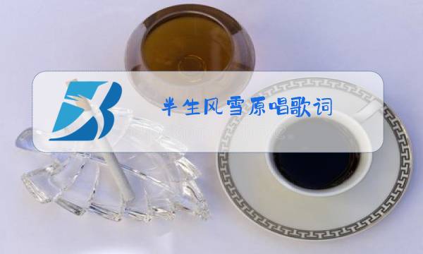 半生风雪原唱歌词图片