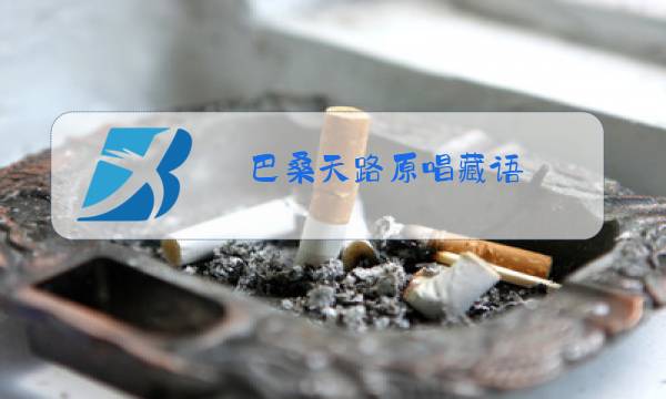 巴桑天路原唱藏语图片