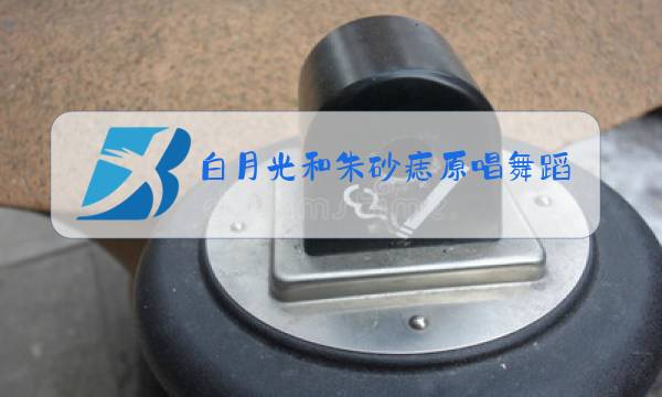 白月光和朱砂痣原唱舞蹈图片