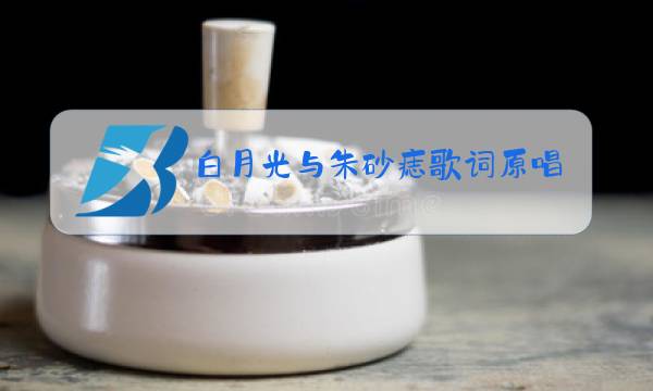 白月光与朱砂痣歌词原唱下载图片