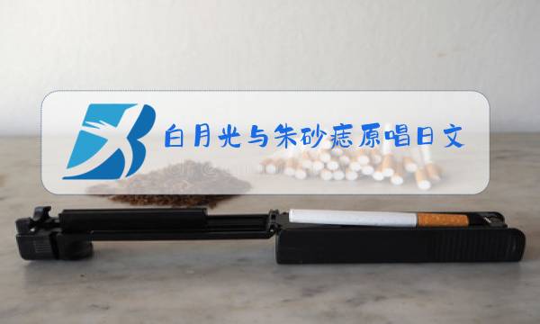 白月光与朱砂痣原唱日文版图片