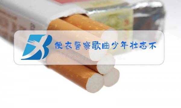 便衣警察歌曲少年壮志不言愁原唱图片