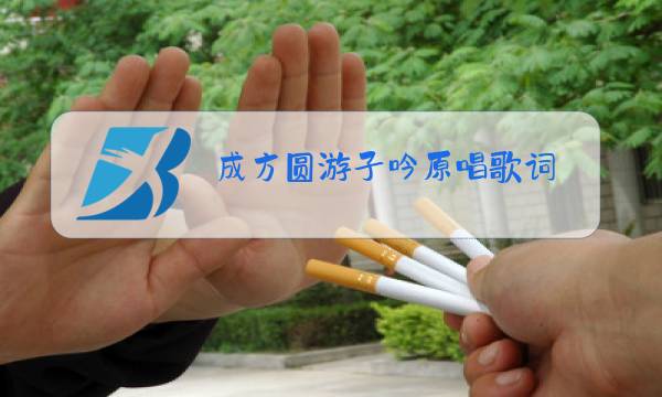 成方圆游子吟原唱歌词图片